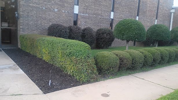 Bush Trimming