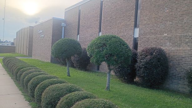 Hedge Trimming